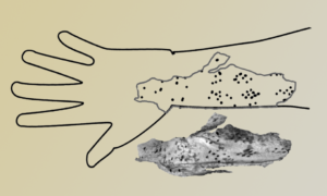 How Christianity Redrew Ancient Nubian Tattoos